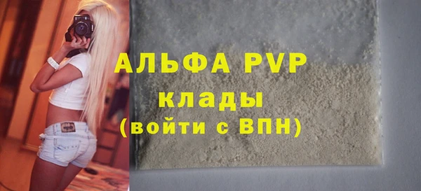 стаф Инсар