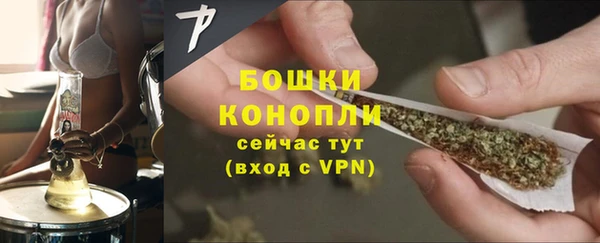 твердый Иннополис
