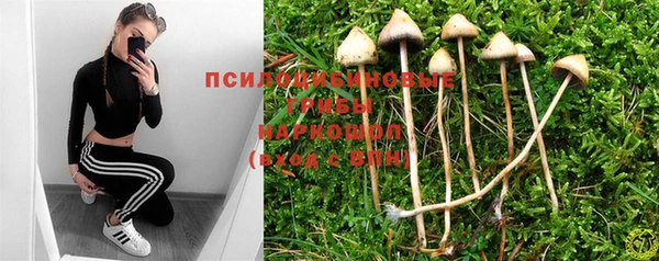 ешки Каменск-Шахтинский