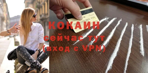 стаф Инсар