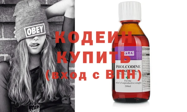 твердый Иннополис