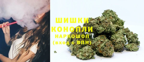 твердый Иннополис