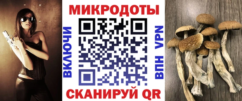 Галлюциногенные грибы мицелий  Купить закладки  Зея 